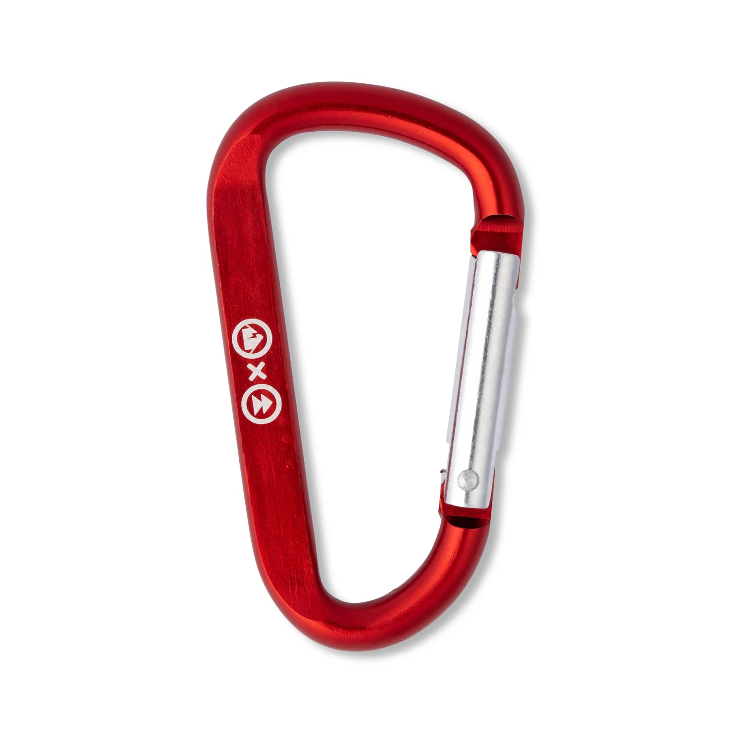 Carabiner - Dirtybird Campout + Northern Nights 2025 - Image 4