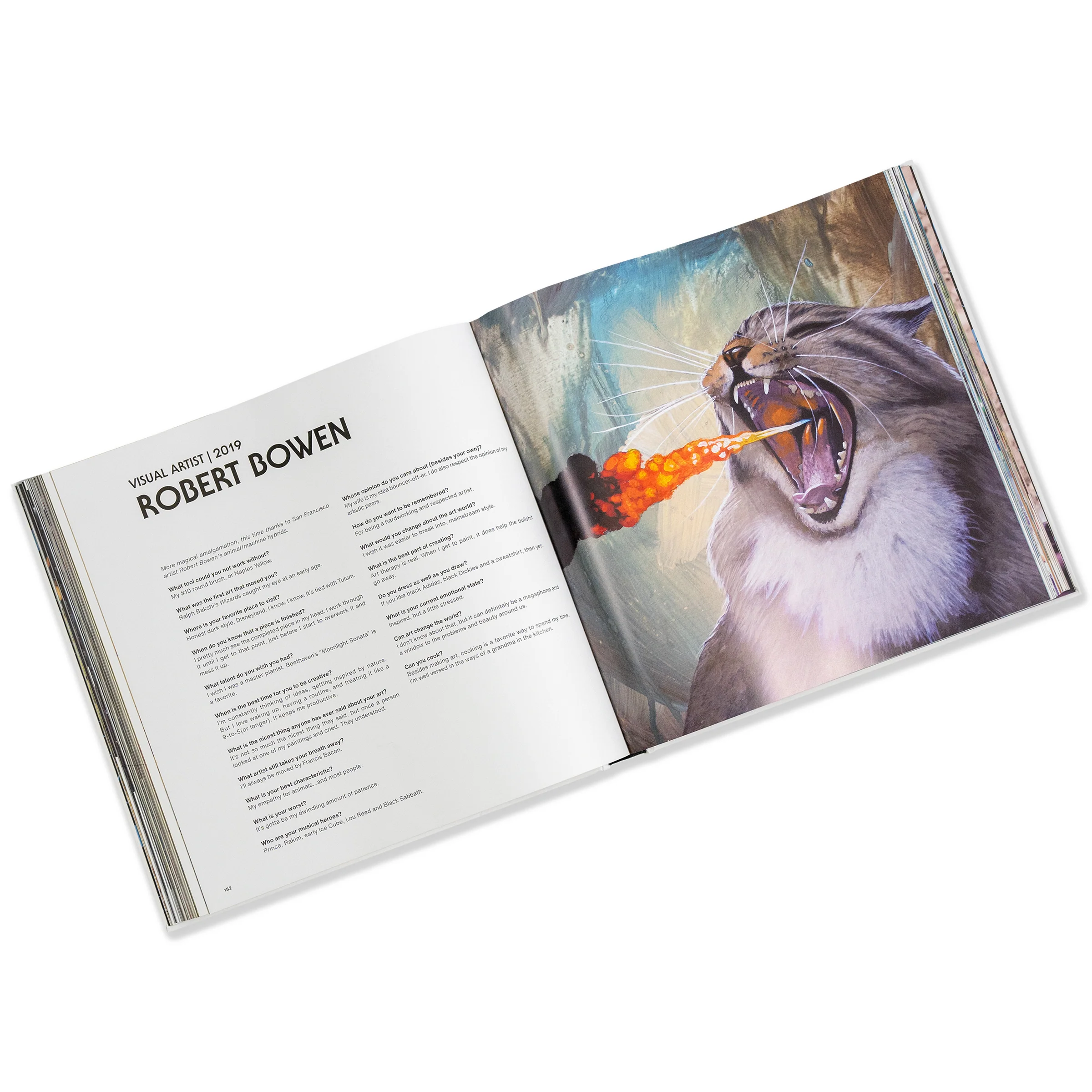 Dirtybird Book - Image 2