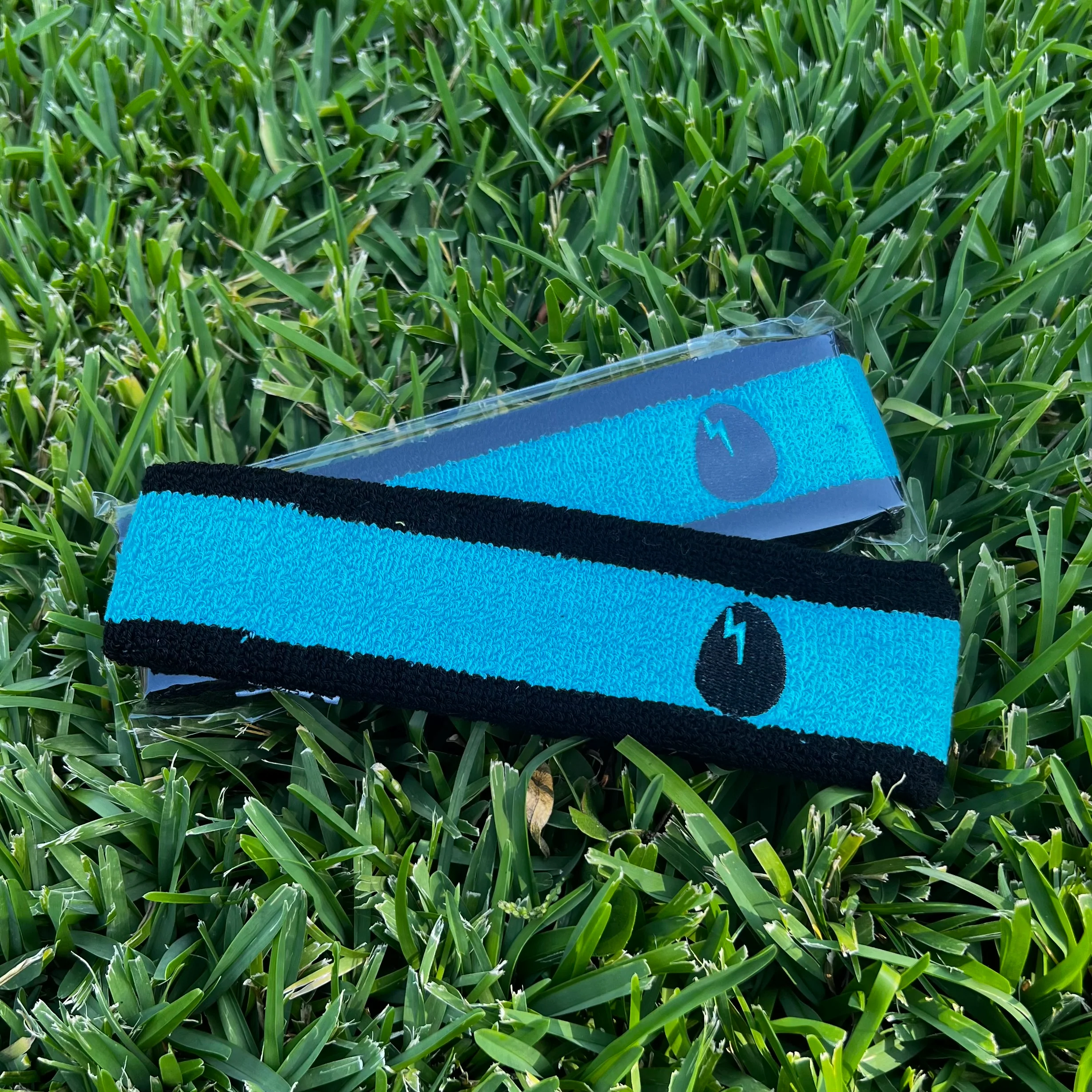 Dirtybird Sweatband - Image 3