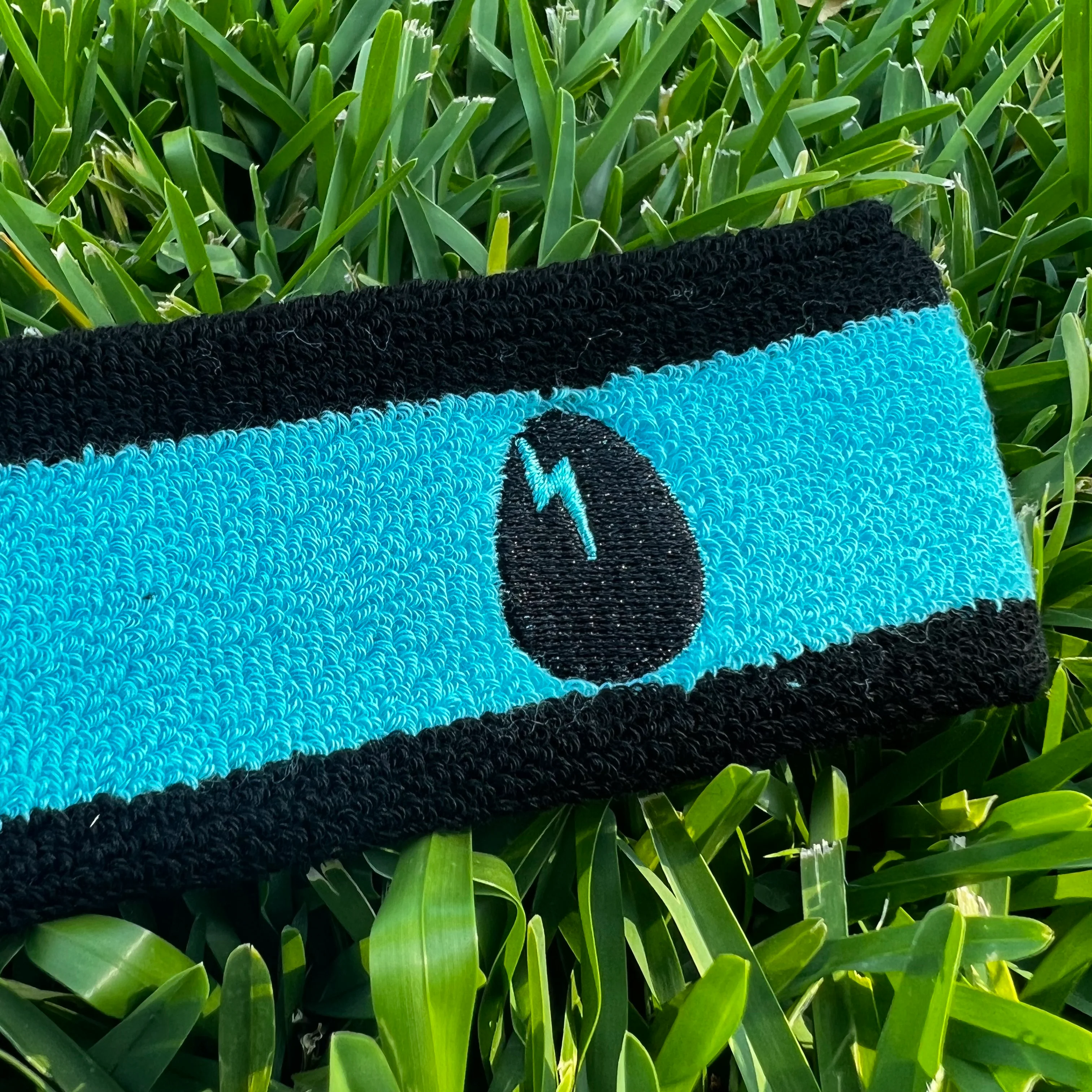 Dirtybird Sweatband - Image 4