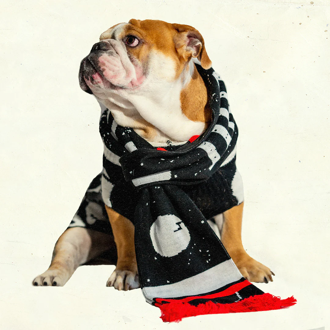 Dirtybird Holiday Scarf - Image 3