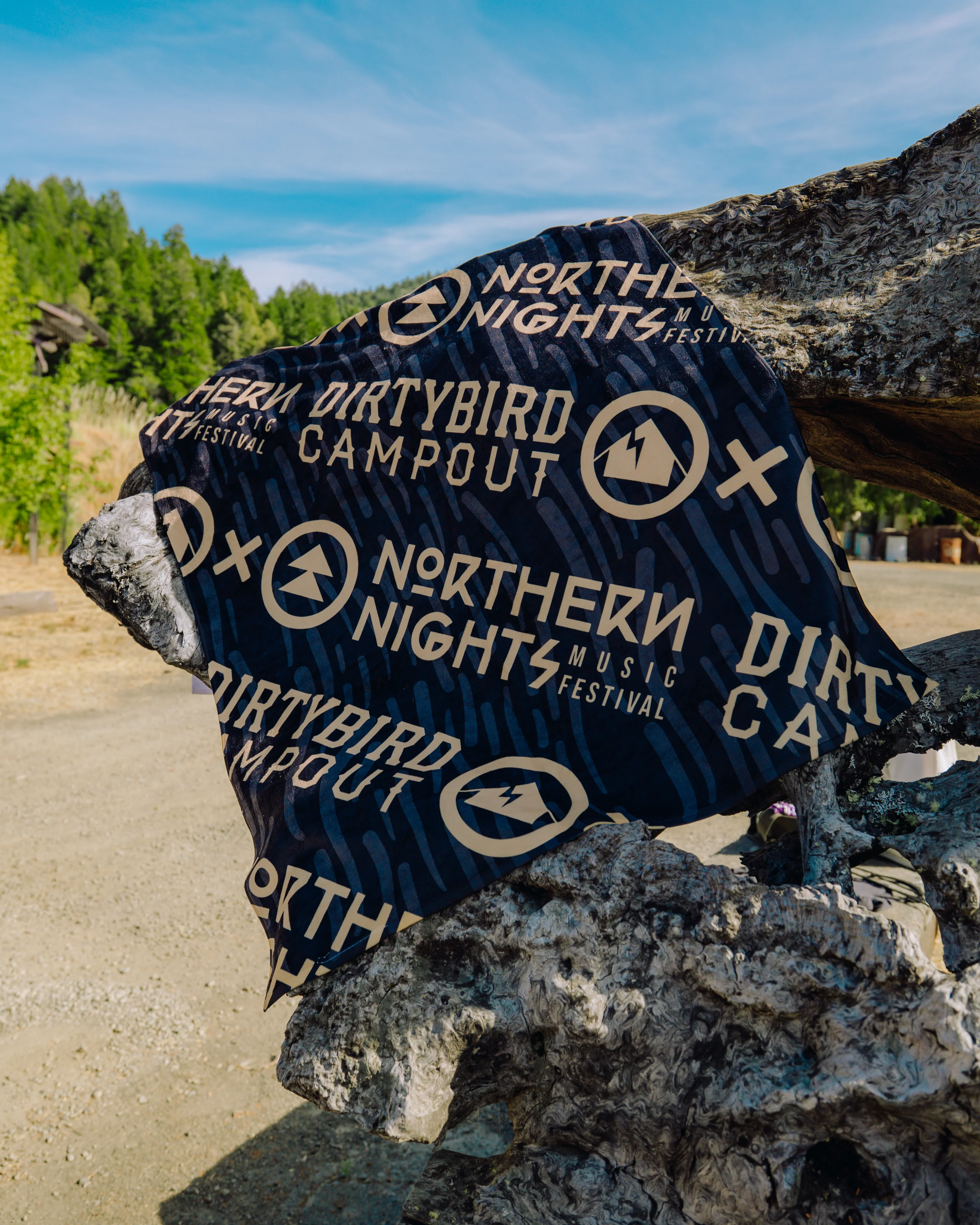 River Towel - Dirtybird Campout + Northern Nights 2025 - Image 3